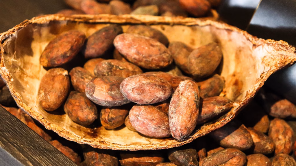 Cacao Sacré pour transe hypnotique hypnose jura neuchâtel